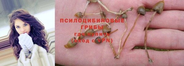 MDMA Нязепетровск