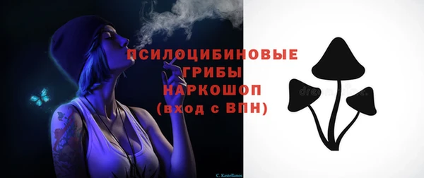 прущие крисы Няндома