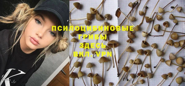 эйфоретик Осташков